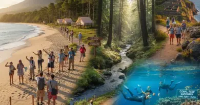 Responsible activities and wildlife interactions: best practices for beaches, forests, reefs, and cultural sites