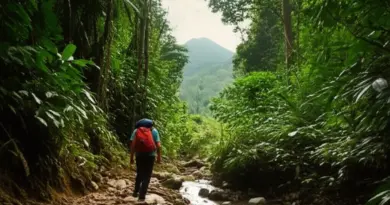 Top Trails in Sumatra: Bukit Lawang, Kerinci Seblat, Gunung Leuser and Multi-Day Jungle Routes (difficulty, duration, best seasons)