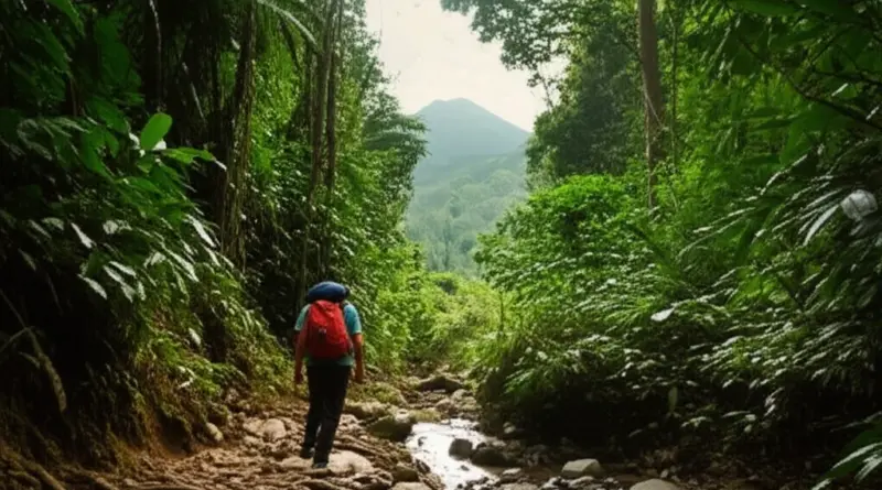 Top Trails in Sumatra: Bukit Lawang, Kerinci Seblat, Gunung Leuser and Multi-Day Jungle Routes (difficulty, duration, best seasons)