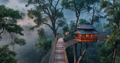 Top locations and operators for canopy walks and treetop stays in Indonesia — detailed options, accessibility, and best seasons