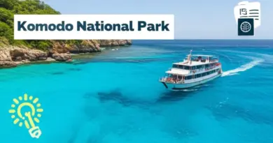 Where is Komodo Island and how to get there: travel logistics, best seasons, and entry requirements for Komodo National Park
