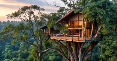 Why travelers choose treetop conservation stays in Indonesia — eco-tourism goals, expected experiences, and how these compare to The Gibbon Experience