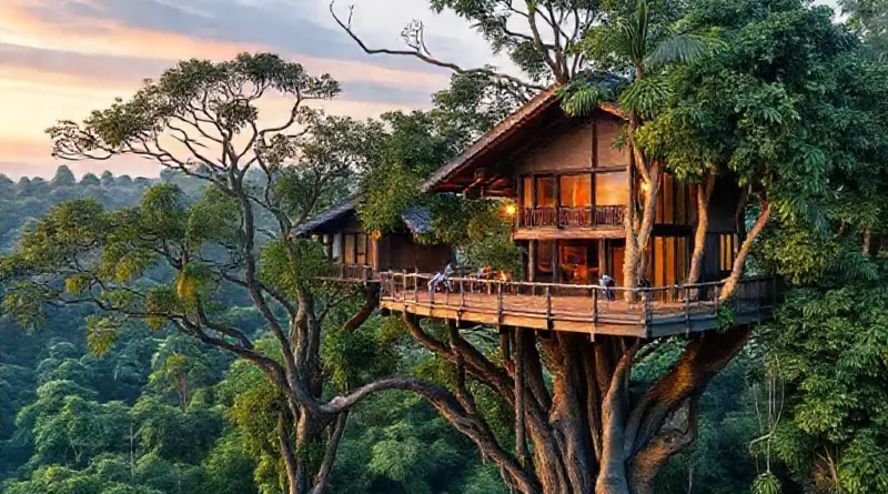 Why travelers choose treetop conservation stays in Indonesia — eco-tourism goals, expected experiences, and how these compare to The Gibbon Experience