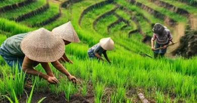 A Day in the Fields: Step-by-Step What Happens During a Hands-On Rice Farming Workshop in Bali (planting, irrigation, harvesting, tools)