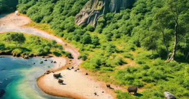 Best Times to Visit, What to Expect, and How to Plan Your Trip to Indonesia’s National Parks