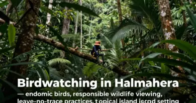 Birding in Halmahera: Endemic Species Guide and Leave No Trace Practices for Responsible Wildlife Watching