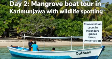 Day 2: Mangrove tours and wildlife on Karimunjawa — routes, guides, and conservation tips