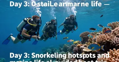 Day 3: Best snorkeling spots and marine life highlights — equipment, safety and guided trips