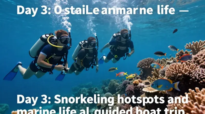 Day 3: Best snorkeling spots and marine life highlights — equipment, safety and guided trips