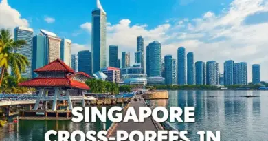 From Singapore to Indonesia: The Complete Step-by-Step Guide to Planning Your Cross-Border Trip