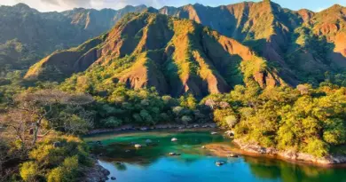 Itineraries, Highlights, and Wildlife Encounters: Typical Routes, Must-See Stops, and Komodo National Park Experiences