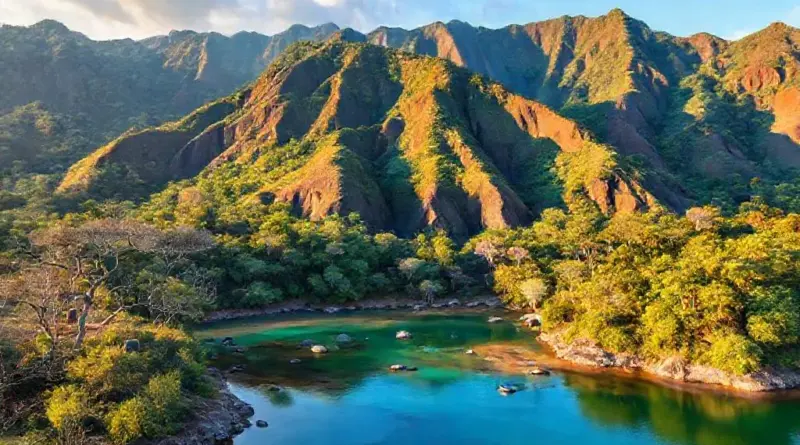 Itineraries, Highlights, and Wildlife Encounters: Typical Routes, Must-See Stops, and Komodo National Park Experiences