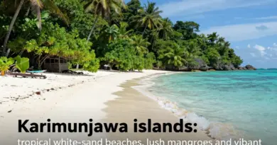 Karimunjawa in 4 Days: Best Beaches, Mangroves and Snorkel Spots for an Unforgettable Island Itinerary