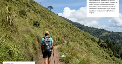 Step-by-Step Route Guide: Trailhead to Summit, Daily Itinerary, Elevation Profiles, and Campsites on the Kerinci Trek