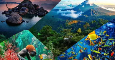 Top National Parks to Visit: Komodo, Bromo-Tengger-Semeru, Gunung Leuser, and Raja Ampat — Highlights and Wildlife Encounters