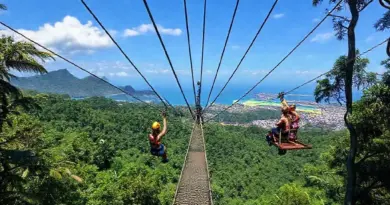 Top Zipline and Canopy Tour Operators in Borneo and Bali — detailed comparisons, what to expect on each tour, difficulty levels, age/fitness requirements, pricing, and booking tips