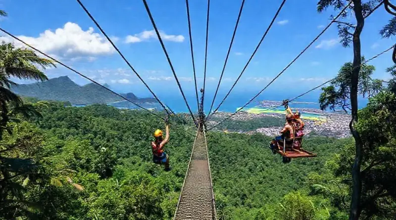 Top Zipline and Canopy Tour Operators in Borneo and Bali — detailed comparisons, what to expect on each tour, difficulty levels, age/fitness requirements, pricing, and booking tips