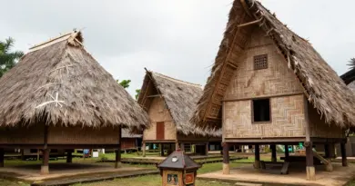 Traditional Sasak house architecture: layout, materials, symbolism, and preservation efforts