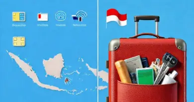 What types of SIM cards and eSIMs are available in Indonesia and how to choose the best one for short trips vs long stays