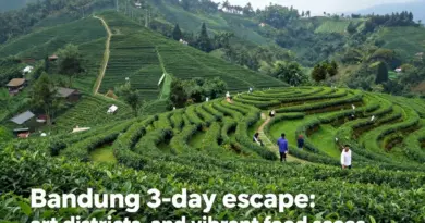 Bandung Cool Escape: Ultimate 3-Day Itinerary for Tea Fields, Art, and Food Experiences