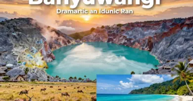 Banyuwangi Gateway to East Java: Ultimate 4-Day Itinerary for Ijen, Baluran, and Pristine Beaches
