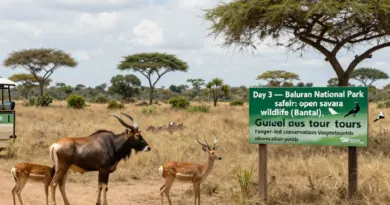 Day 3 — Baluran National Park Safari: Wildlife, Best Trails, Guided Tours, and Conservation Notes
