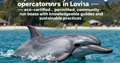 How to choose responsible dolphin-watching operators in Lovina (credentials, permits, community involvement, eco-certifications, reviews)?