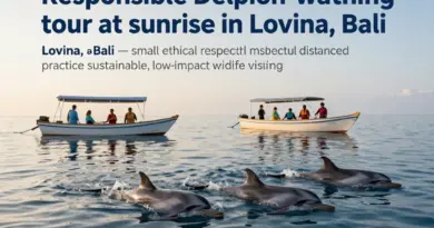Responsible Dolphin Watching in Lovina: Best Time, Ethical Guidelines, and Responsible Operators for a Sustainable Experience