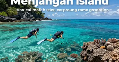 Snorkeling Menjangan Island: Entry Fees, Best Dive Sites, Currents and Practical Tips for Visitors