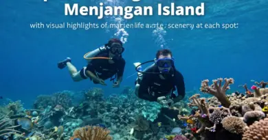Top Snorkeling Sites Around Menjangan Island and What to Expect at Each Spot