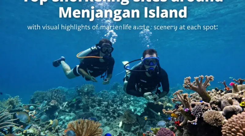 Top Snorkeling Sites Around Menjangan Island and What to Expect at Each Spot