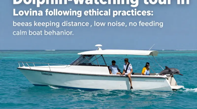 What ethical practices should visitors follow during dolphin tours in Lovina to minimize disturbance (distance, noise, no feeding, boat behavior)?