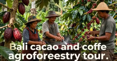 What to expect on a Bali cacao and coffee agroforestry tour: typical itineraries, hands-on activities, and cultural immersion