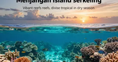 Why Menjangan Island is a Top Snorkeling Destination: Marine Life, Visibility, and Best Seasons to Visit