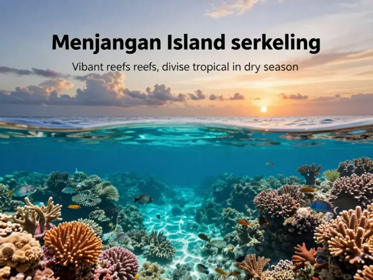 Why Menjangan Island is a Top Snorkeling Destination: Marine Life, Visibility, and Best Seasons to Visit