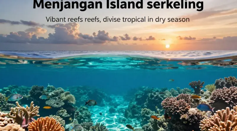 Why Menjangan Island is a Top Snorkeling Destination: Marine Life, Visibility, and Best Seasons to Visit