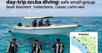 Choosing the Right Liveaboard and Day Trips for Beginners — Safety, Itineraries, Onboard Facilities and Dive Instructors