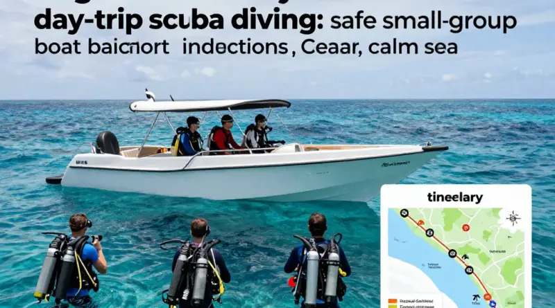 Choosing the Right Liveaboard and Day Trips for Beginners — Safety, Itineraries, Onboard Facilities and Dive Instructors