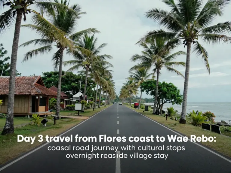 Day 3 — From Flores Coast to Wae Rebo: Travel Logistics, Cultural Stops, and Where to Overnight En Route