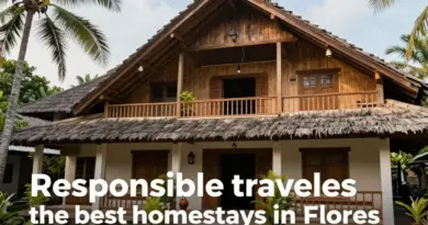 How to choose the best homestays in Flores: safety, cultural immersion, and booking tips for responsible travelers
