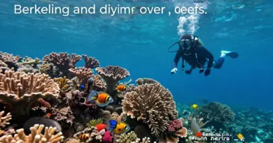 Outdoor adventures and island experiences: snorkeling, diving spots, hiking Banda Neira, Banda spice gardens, and boat trip recommendations