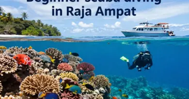 Raja Ampat Diving for Beginners: Best Sites, Liveaboards, Seasons and Practical Tips for First-Time Divers