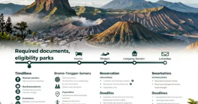 Required Documents, Eligibility, and Advance Booking Timelines for Popular Parks (Komodo, Gunung Rinjani, Bromo-Tengger-Semeru, Lorentz)