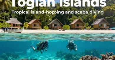 Togian Islands diving and island-hopping guide: how to get there, top dive sites, snorkeling spots, and eco-friendly stay options