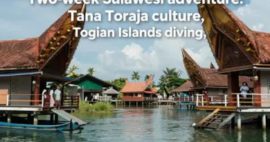 Two Weeks in Sulawesi: The Ultimate 14-Day Tana Toraja, Togian Islands, and Makassar Itinerary for Culture, Diving, and Adventure