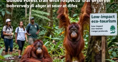 What to Expect on an Ethical Orangutan Trek: Itineraries, Safety Protocols, Visitor Guidelines, and Minimizing Disturbance