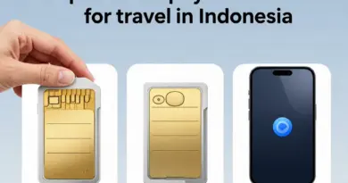 Which SIM vs eSIM Should You Choose for Travel or Long-Term Stay in Indonesia? — pros, cons, activation, and compatibility