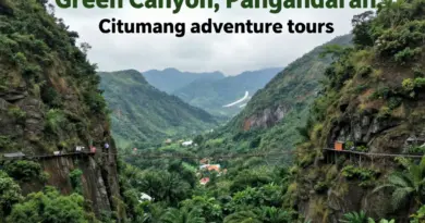 Best Activities, Tours, and Experiences in Green Canyon, Pangandaran, and Citumang
