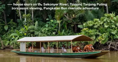 Borneo Kalimantan Wildlife Week: Ultimate Guide to Tanjung Puting Houseboat Tours and Pangkalan Bun Adventures