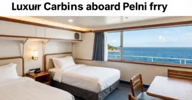 Choosing the Right Cabin Class on Pelni: Differences, Amenities, Prices, and Comfort Tips for Every Budget